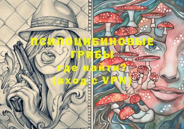 марки lsd Медногорск