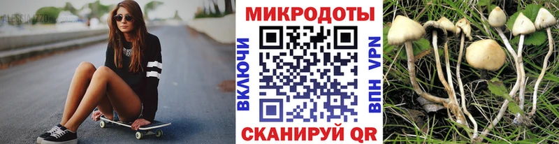 закладки  Топки  Псилоцибиновые грибы Psilocybe 