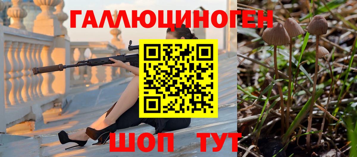 Галлюциногенные грибы Psilocybe Топки