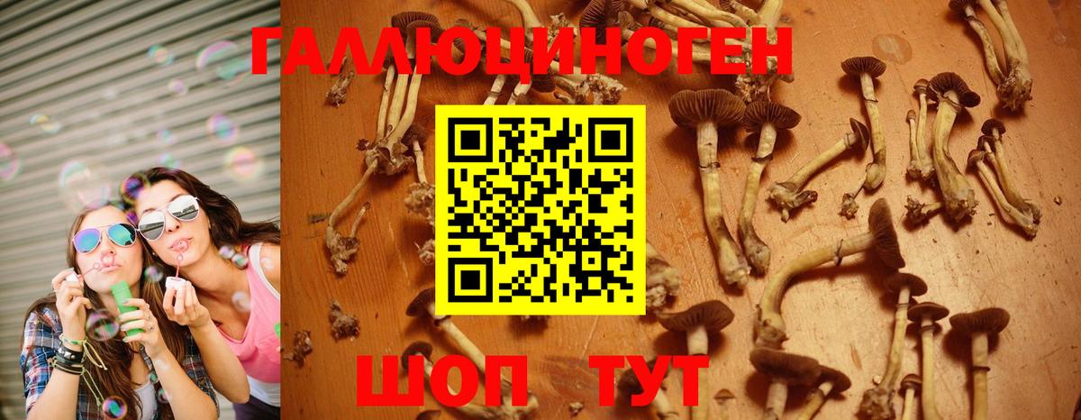 Галлюциногенные грибы MAGIC MUSHROOMS Топки