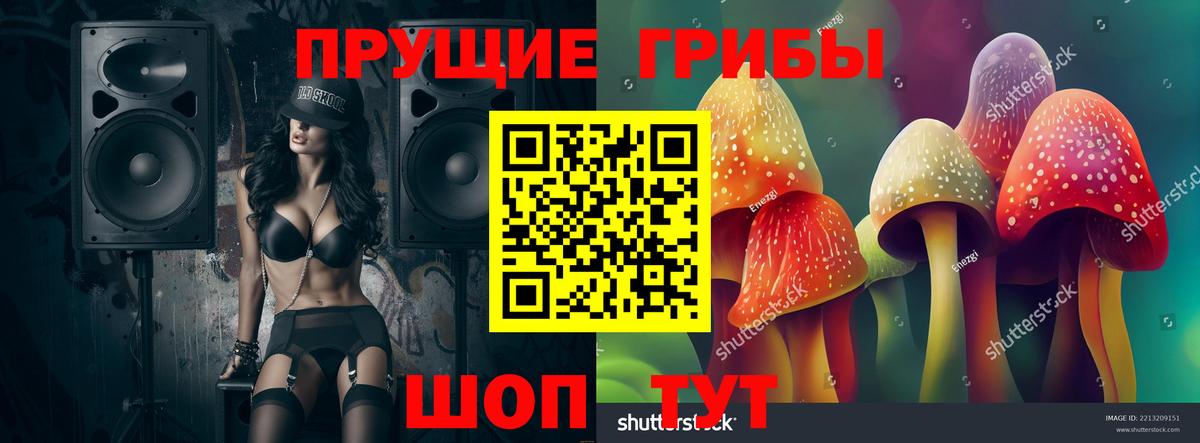 Галлюциногенные грибы Cubensis  Топки 